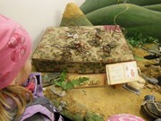 Výlet do Dobrovic - Krysáci